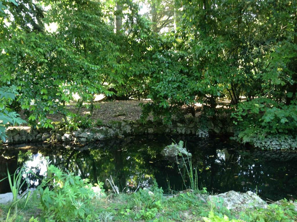 Chambre D'Hotes Les Rives De La Tronne Mer Zewnętrze zdjęcie